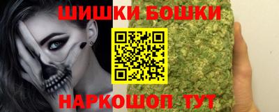 jwh Бийск