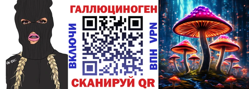 гидра зеркало  что такое   Каспийск  Галлюциногенные грибы Magic Shrooms 