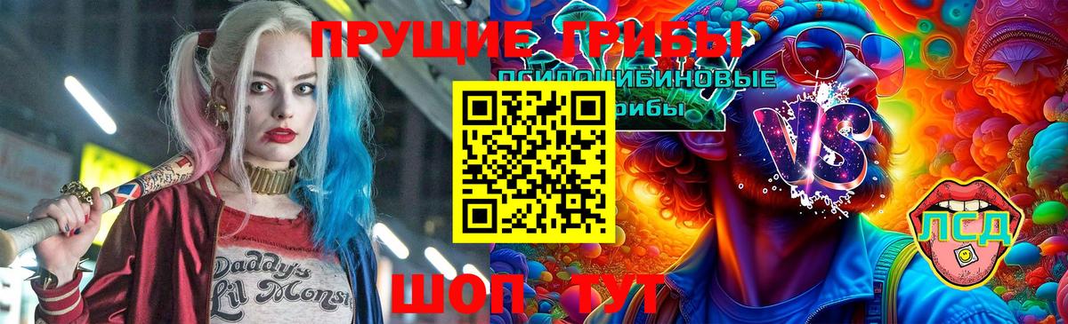 Псилоцибиновые грибы Psilocybe Каспийск