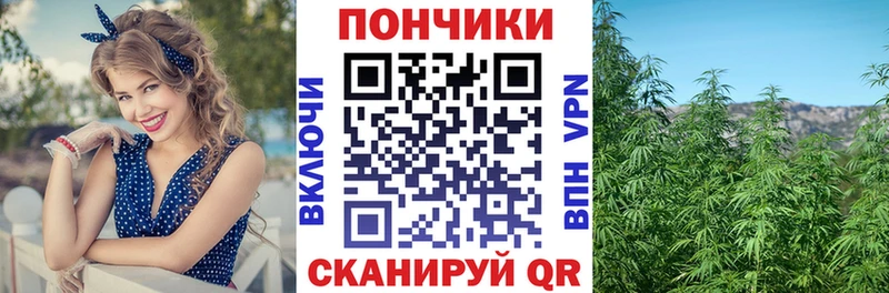 OMG сайт  Каспийск  Шишки марихуана White Widow 